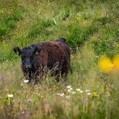 Naturlodge Gadestatt Bagian luar foto