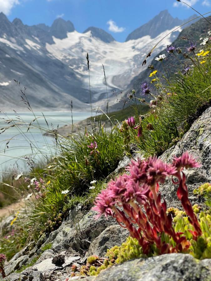 Naturlodge Gadestatt Bagian luar foto